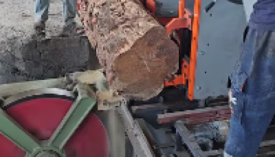 Tomruk Dilimleme Makinası